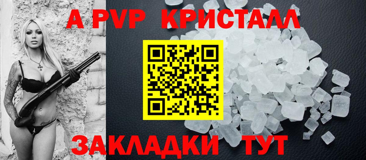 Alfa_PVP СК Великий Новгород