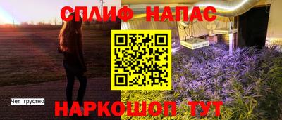скорость Бердск
