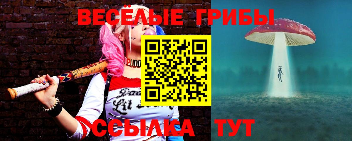 Великий Новгород  Галлюциногенные грибы Magic Shrooms  Вход с VPN 